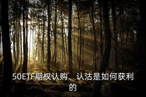 50ETF期權(quán)認購、認沽是如何獲利的