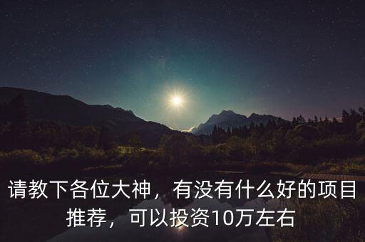 請教下各位大神，有沒有什么好的項目推薦，可以投資10萬左右