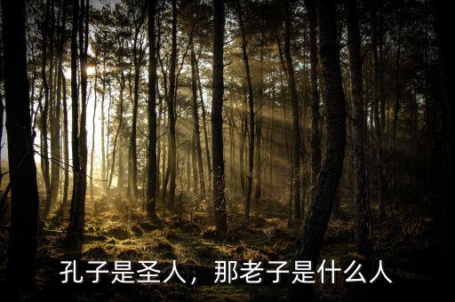 孔子是圣人，那老子是什么人