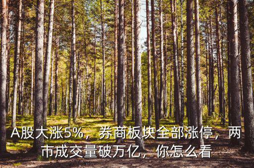 A股大漲5%，券商板塊全部漲停，兩市成交量破萬億，你怎么看