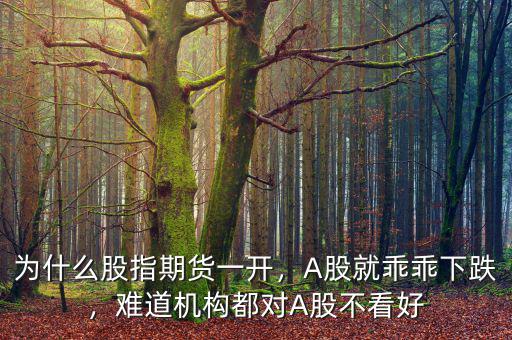 為什么股指期貨一開，A股就乖乖下跌，難道機(jī)構(gòu)都對(duì)A股不看好