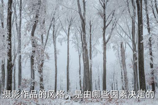 攝影作品的風(fēng)格，是由哪些因素決定的