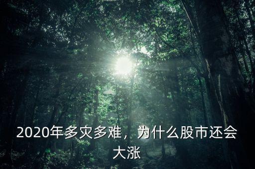 2020年多災(zāi)多難，為什么股市還會(huì)大漲