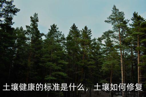 土壤健康的標準是什么，土壤如何修復
