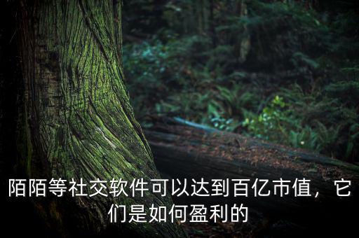 陌陌等社交軟件可以達(dá)到百億市值，它們是如何盈利的