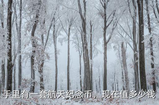 手里有一套航天紀念幣，現在值多少錢