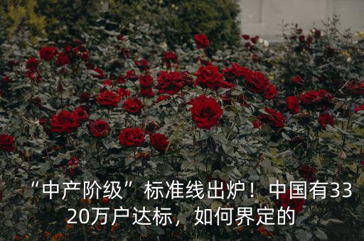 “中產(chǎn)階級”標(biāo)準(zhǔn)線出爐！中國有3320萬戶達標(biāo)，如何界定的