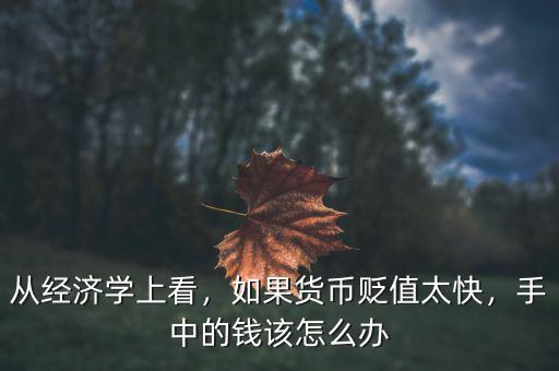 從經(jīng)濟(jì)學(xué)上看，如果貨幣貶值太快，手中的錢(qián)該怎么辦