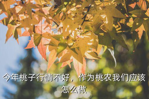 今年桃子行情不好，作為桃農(nóng)我們應(yīng)該怎么做