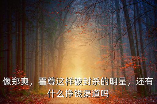 像鄭爽，霍尊這樣被封殺的明星，還有什么掙錢渠道嗎