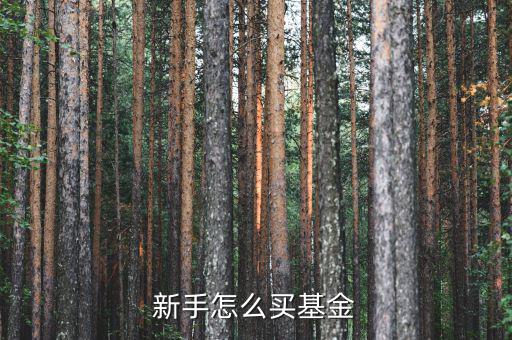 初學(xué)者怎么買(mǎi)基金,新手小白如何購(gòu)買(mǎi)基金