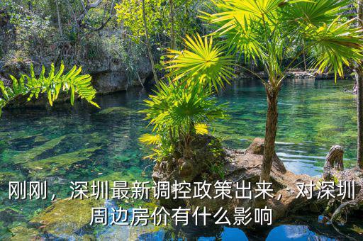 剛剛，深圳最新調(diào)控政策出來，對深圳周邊房價有什么影響