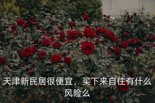 天津新民居很便宜，買下來自住有什么風(fēng)險(xiǎn)么