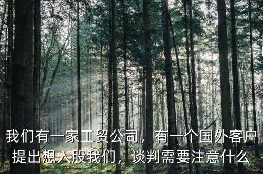 我們有一家工貿(mào)公司，有一個(gè)國(guó)外客戶提出想入股我們，談判需要注意什么