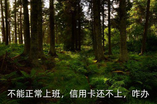 不能正常上班，信用卡還不上，咋辦