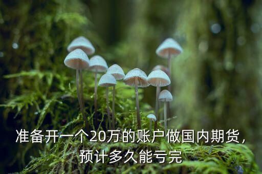 準備開一個20萬的賬戶做國內(nèi)期貨，預計多久能虧完