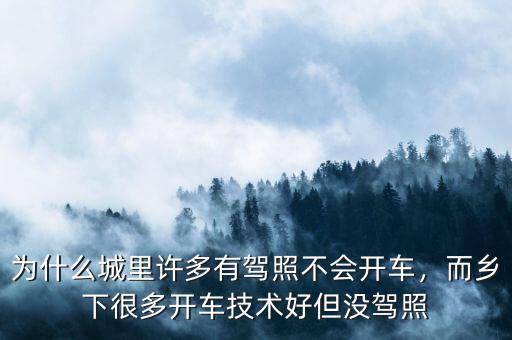 為什么城里許多有駕照不會開車，而鄉(xiāng)下很多開車技術好但沒駕照