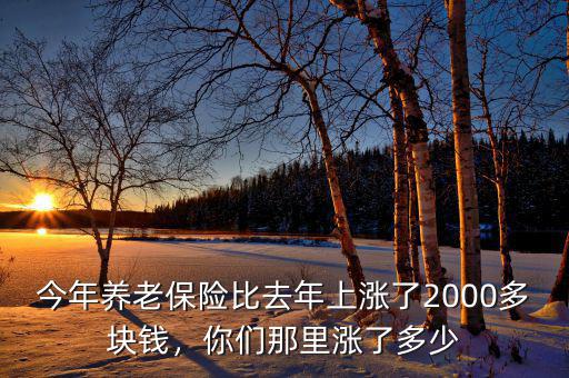 今年養(yǎng)老保險(xiǎn)比去年上漲了2000多塊錢，你們那里漲了多少