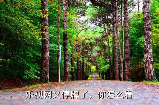 樂視怎么停牌了,大家怎么看曾經的巨頭沒落了