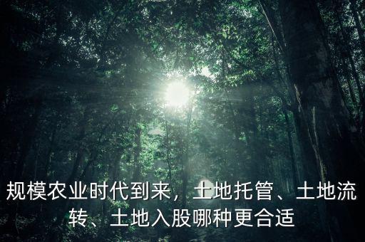 規(guī)模農(nóng)業(yè)時代到來，土地托管、土地流轉(zhuǎn)、土地入股哪種更合適