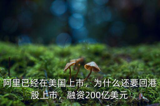 阿里已經(jīng)在美國上市，為什么還要回港股上市，融資200億美元