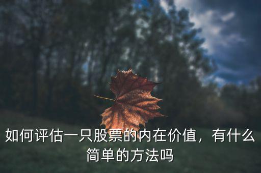 如何評(píng)估一只股票的內(nèi)在價(jià)值，有什么簡(jiǎn)單的方法嗎
