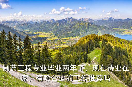 制藥工程專(zhuān)業(yè)畢業(yè)兩年了，現(xiàn)在待業(yè)在家，有啥合適的工作推薦嗎