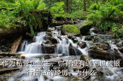 作為私營企業(yè)主，你有沒有遇到過被銀行抽貸的經(jīng)歷，為什么