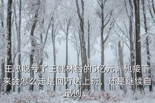 王思聰虧了王健林給的5億元，他接下來會(huì)怎么走是回萬達(dá)上班，還是繼續(xù)自己創(chuàng)業(yè)