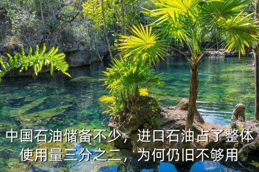 中國石油儲備不少，進(jìn)口石油占了整體使用量三分之二，為何仍舊不夠用