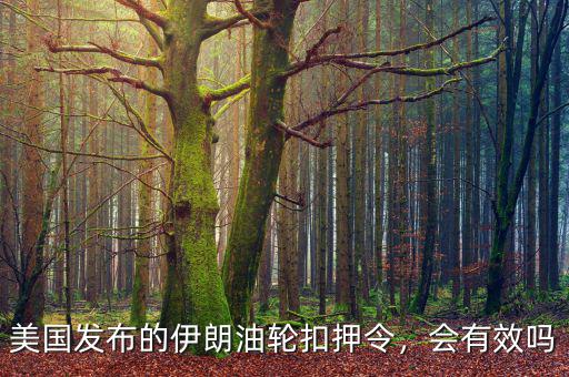 美國(guó)發(fā)布的伊朗油輪扣押令，會(huì)有效嗎
