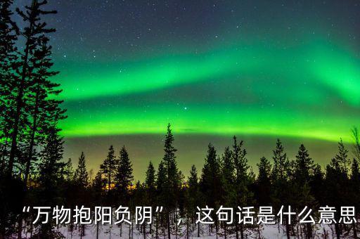 “萬物抱陽負(fù)陰”，這句話是什么意思