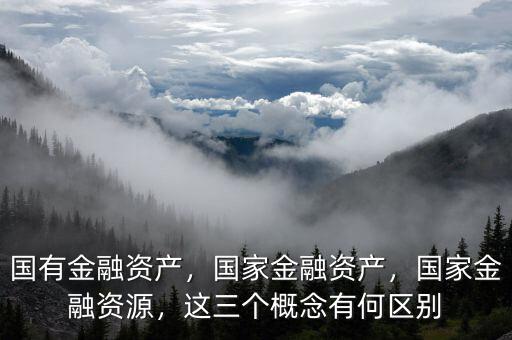 國有金融資產(chǎn)，國家金融資產(chǎn)，國家金融資源，這三個概念有何區(qū)別