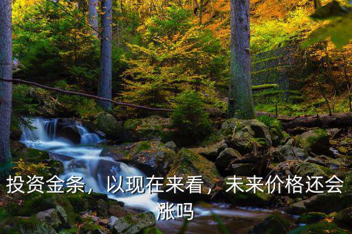 投資金條，以現(xiàn)在來(lái)看，未來(lái)價(jià)格還會(huì)漲嗎