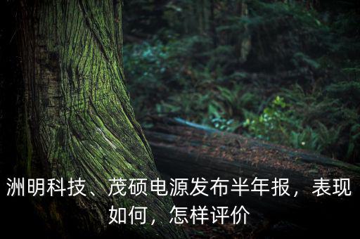 洲明科技、茂碩電源發(fā)布半年報(bào)，表現(xiàn)如何，怎樣評(píng)價(jià)
