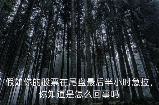 假如你的股票在尾盤最后半小時急拉，你知道是怎么回事嗎