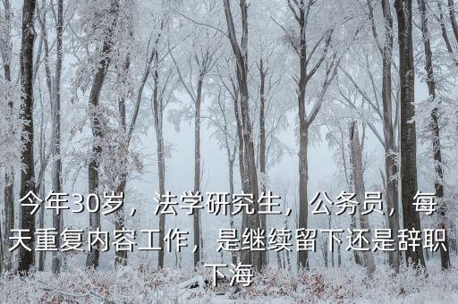 今年30歲，法學(xué)研究生，公務(wù)員，每天重復(fù)內(nèi)容工作，是繼續(xù)留下還是辭職下海