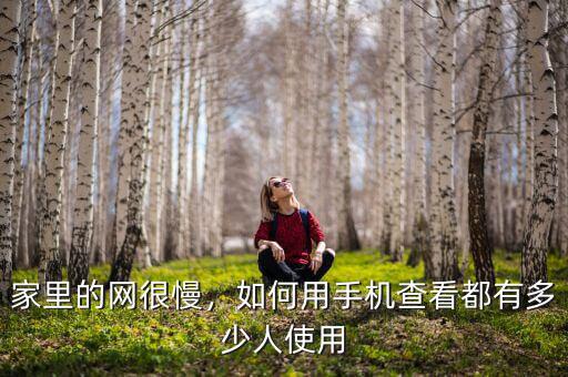 家里的網(wǎng)很慢，如何用手機查看都有多少人使用