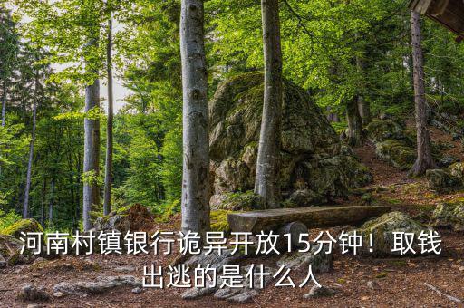 河南村鎮(zhèn)銀行詭異開放15分鐘！取錢出逃的是什么人