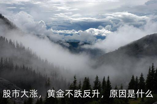 股市大漲，黃金不跌反升，原因是什么