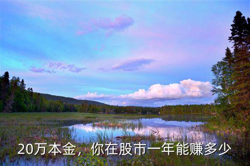 20萬本金，你在股市一年能賺多少
