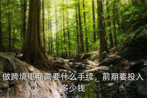 做跨境電商需要什么手續(xù)，前期要投入多少錢