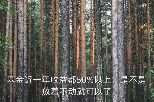 基金近一年收益都50%以上，是不是放著不動就可以了