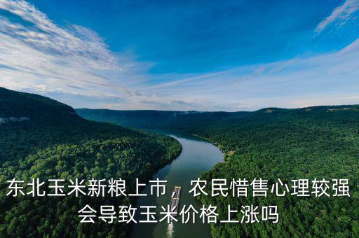 東北玉米新糧上市，農(nóng)民惜售心理較強會導致玉米價格上漲嗎