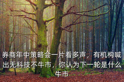 券商年中策略會(huì)一片看多聲，有機(jī)構(gòu)喊出無(wú)科技不牛市，你認(rèn)為下一輪是什么牛市