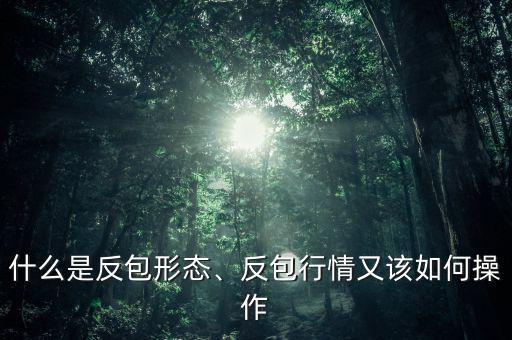 什么是反包形態(tài)、反包行情又該如何操作