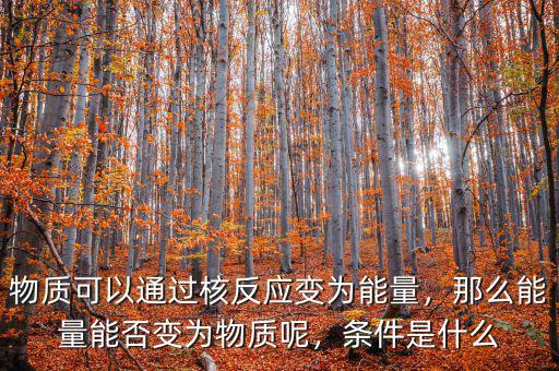 物質(zhì)可以通過核反應(yīng)變?yōu)槟芰?，那么能量能否變?yōu)槲镔|(zhì)呢，條件是什么