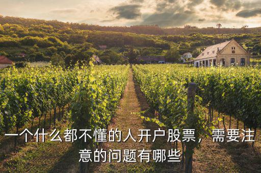 一個什么都不懂的人開戶股票，需要注意的問題有哪些