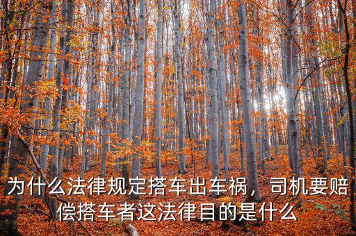 為什么法律規(guī)定搭車出車禍，司機(jī)要賠償搭車者這法律目的是什么