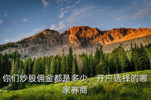 你們炒股傭金都是多少，開戶選擇的哪家券商
